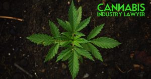 Pennsylvania Microgrower Application