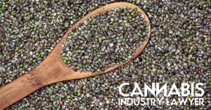 buying cannabis seeds legally online