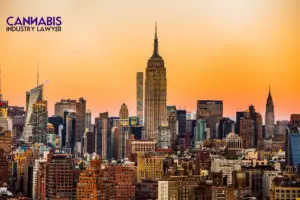 new york cannabis distributor license